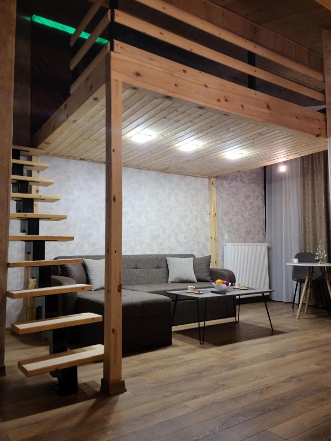 Gudauri Winter House公寓 外观 照片