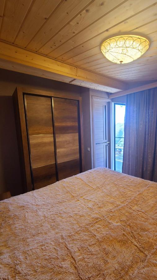 Gudauri Winter House公寓 外观 照片