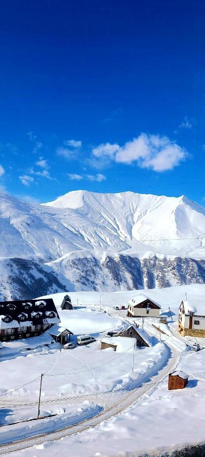Gudauri Winter House公寓 外观 照片