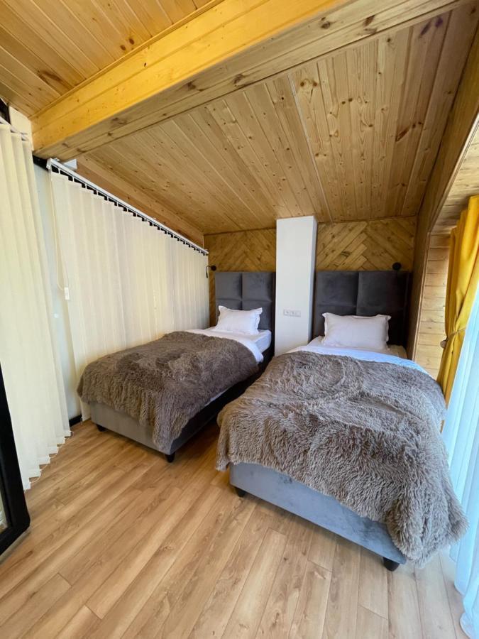 Gudauri Winter House公寓 外观 照片